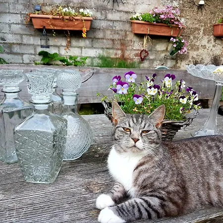 Hébergement de vacances Lasserg-cottage *